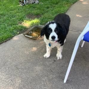 Meet your Posher, Lynne